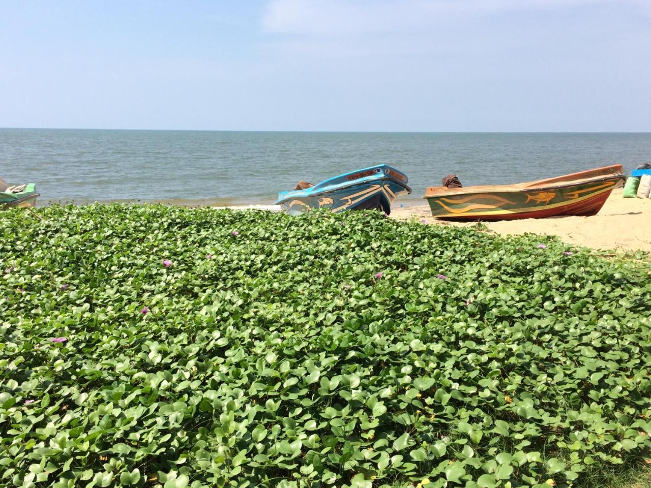 The Alexis'S Guest House Negombo Ngoại thất bức ảnh